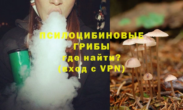 ГАЛЛЮЦИНОГЕННЫЕ ГРИБЫ Аркадак