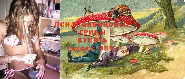 ГАЛЛЮЦИНОГЕННЫЕ ГРИБЫ Аркадак