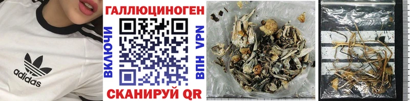 закладка  Радужный  Псилоцибиновые грибы ЛСД 